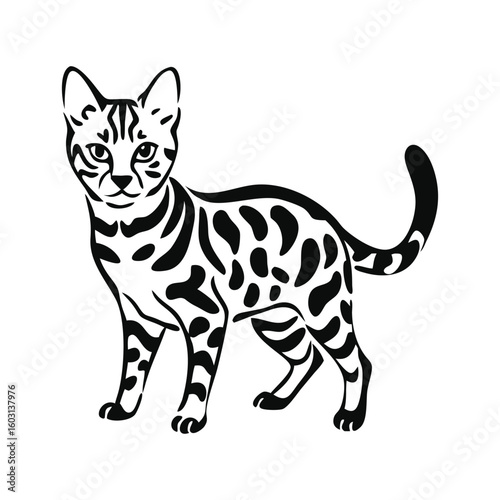 Simple bengal cat silhouette vector graphic in black and white with subtle color accents