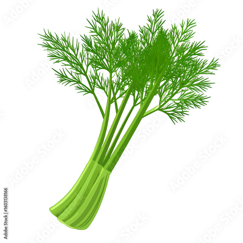 Fresh Green Celery Isolated On White Background