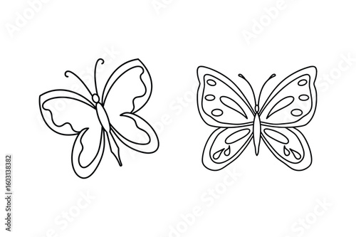 Delicate outlines of two butterflies butterfly insect