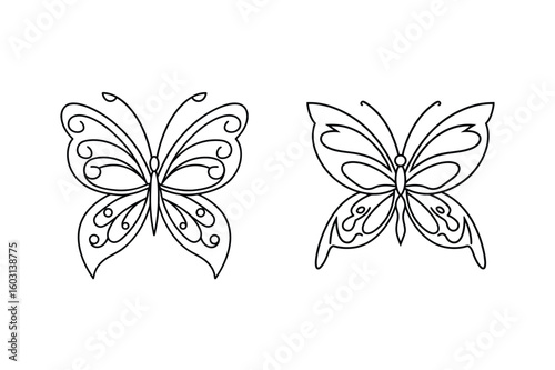 Elegant black and white butterfly outlines insect wings