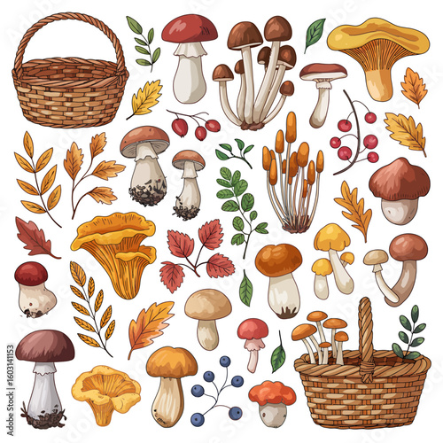 Watercolor Mushroom Harvest Illustration with Basket and Autumn Leaves Artistic Forest Fungi Collection for Culinary and Botanical Themes