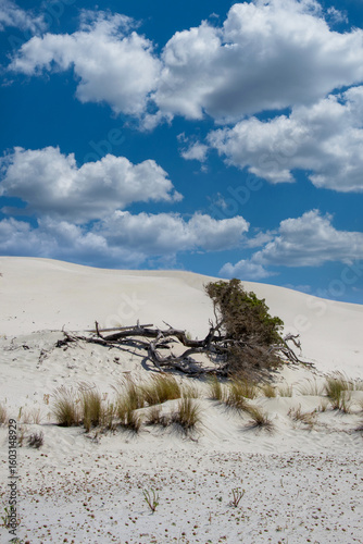 Dune Capo Teulada Sardegna