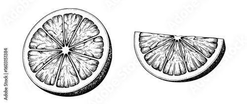 Black and white citrus fruit slices illustration orange lemon