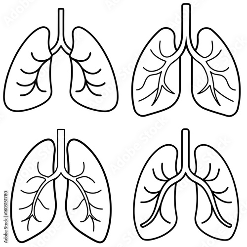 Lungs Icon – Outline Vector Illustration of Human Respiratory Organs
