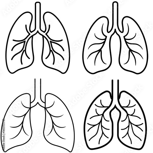 Lungs Icon – Outline Vector Illustration of Human Respiratory Organs
