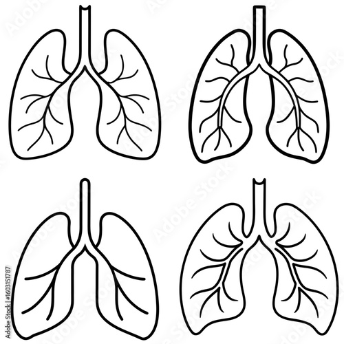Lungs Icon – Outline Vector Illustration of Human Respiratory Organs