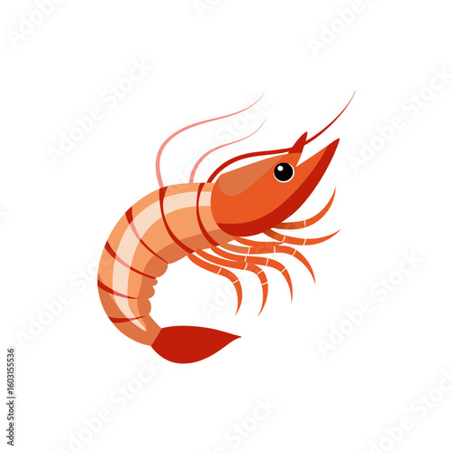 shrimp vector art illustration