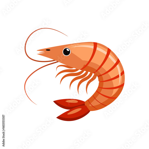 shrimp vector art illustration