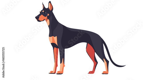 Graceful Doberman Pinscher Dog Breed Portrait for Professional Use