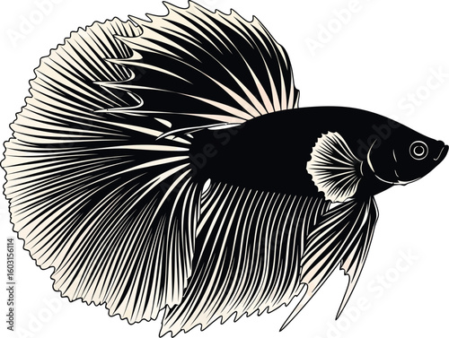 A stylized black and white illustration of a betta fish with elaborate fins and tail design