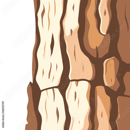 Close Up Detailed Wood Bark Texture