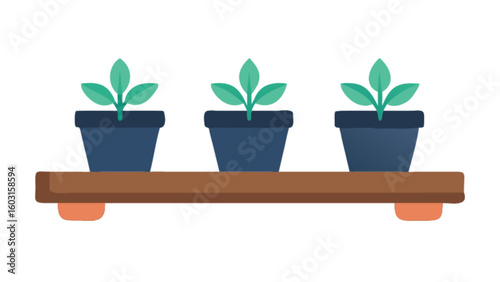 Three potted plants on shelf vector illustration for home decor and gardening design projects and creative works