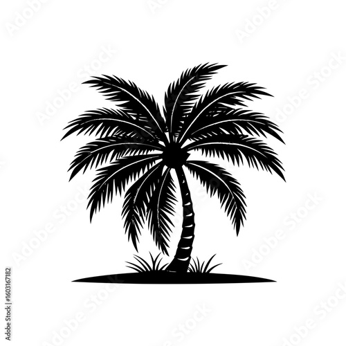 silhouette a palm tree vector art