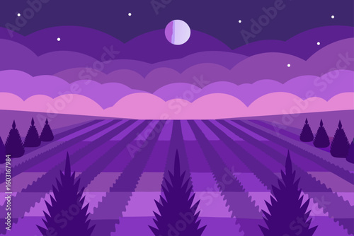 field of lavender at twilight