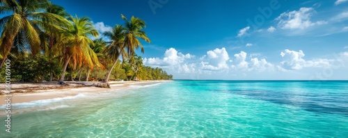 Turquoise Beach Palm Trees, White Sand and Azure Sky, caribbean , island
