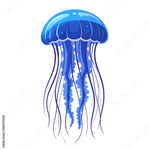 Blue Jellyfish Illustration