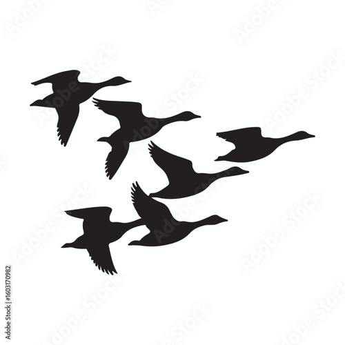 A flock of geese flying in formation against a white background demonstrating migration
