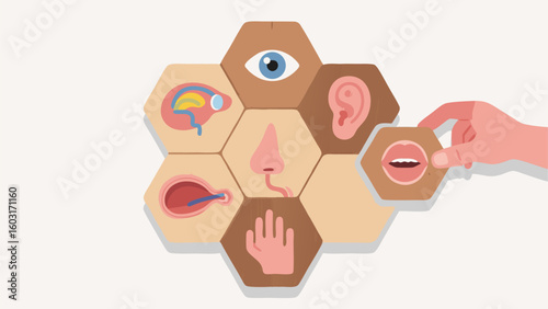 Illustration of the five senses represented as puzzle pieces for educational conceptual designs for articles and advertising