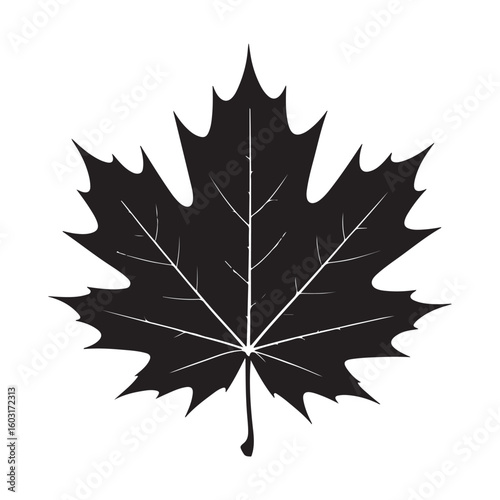A stark black silhouette of a maple leaf with a detailed white vein pattern against a white background