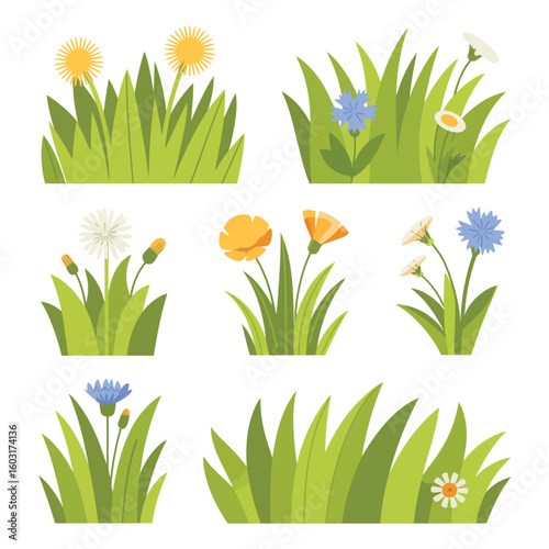 Vibrant spring meadow with wildflowers and lush green grass