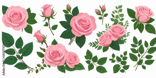 Set of floral branch. Flower pink rose, green leaves. Wedding concept with flowers. Floral poster, invite. Vector arrangements for greeting card or invitation design