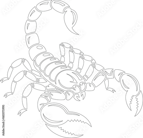 Detailed outline drawing of a scorpion with its tail raised and claws open on a white background
