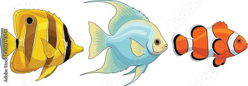 Illustration of three different types of brightly colored tropical fish on a white background
