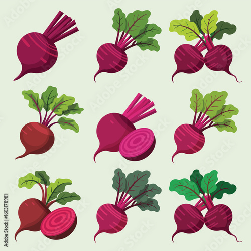 Vibrant beetroots with green tops displayed in a grid