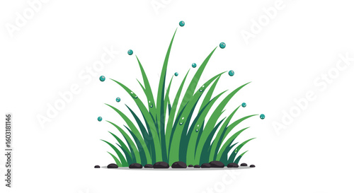 Green grass with water droplets on white background, grass with dew 4