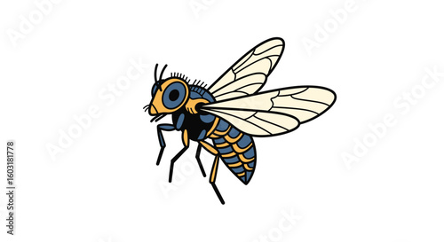 Detailed illustration of a fascinating insect with intricate wing patterns and a segmented body showcasing its biological structure and flight mechanics in a clear and scientific manner