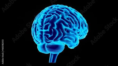 3D render of a human brain in blue on transparent background