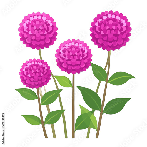 Pink Ball Flowers Arrangement On White Background