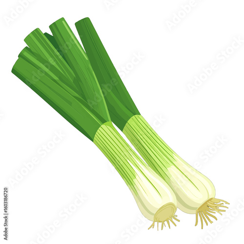 Two Spring Onions Isolated On White Background