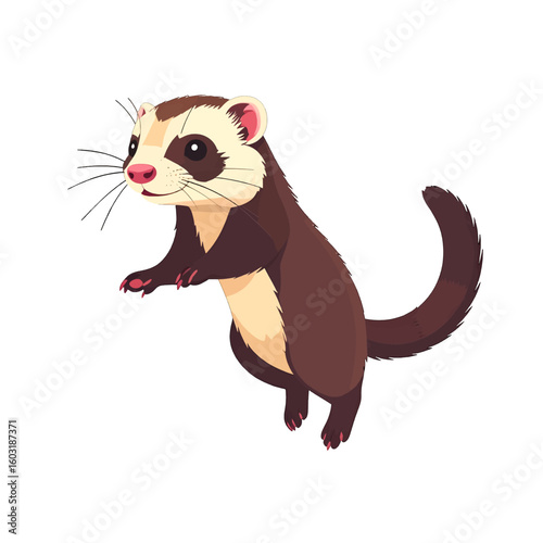 Cartoon Ferret Illustration On White Background