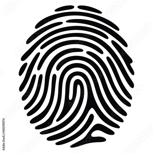 Fingerprint pattern vector
