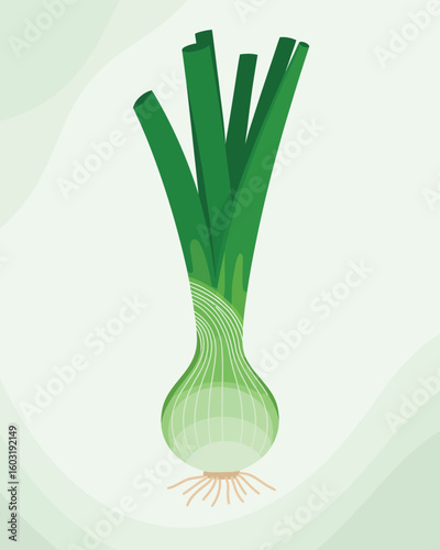 Fresh green onion with white bulb and green stalks