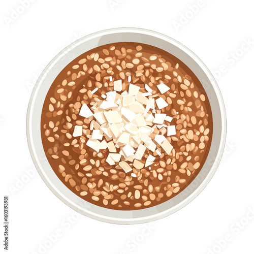 Brown Oatmeal Bowl With Coconut Flakes