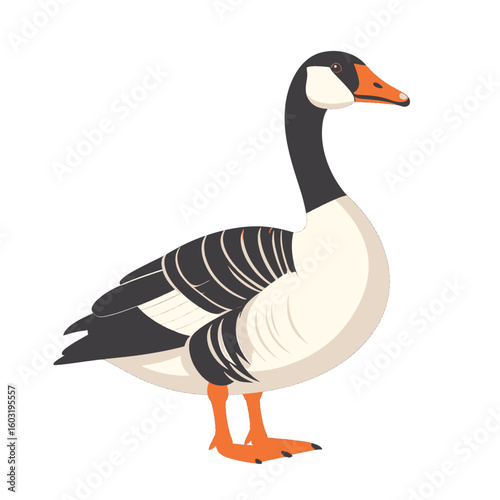 Cartoon Goose Illustration