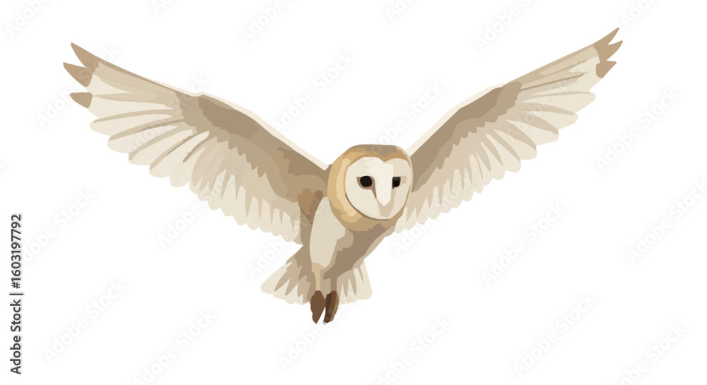 Obraz premium flying owl isolated on white