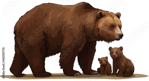 brown bear on a rock