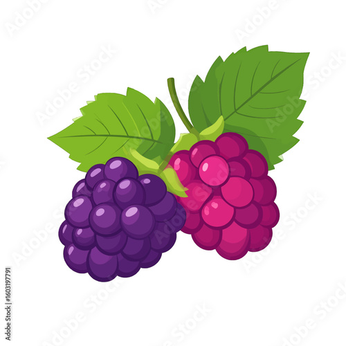 Two Colorful Berries With Leaves On White Background