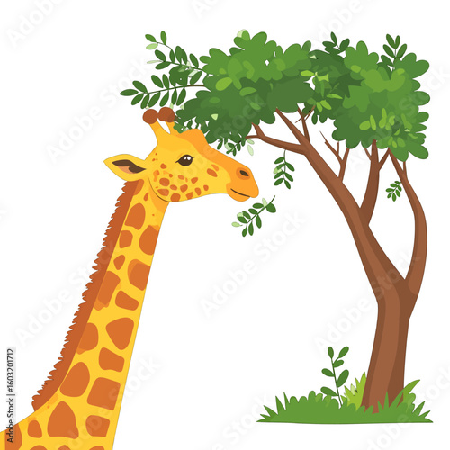Giraffe Eating Leaves From Tree In Jungle