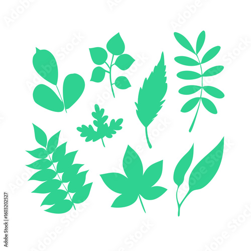 Vector illustration of various green leaves from different plants and trees, flat botanical set, isolated on white background