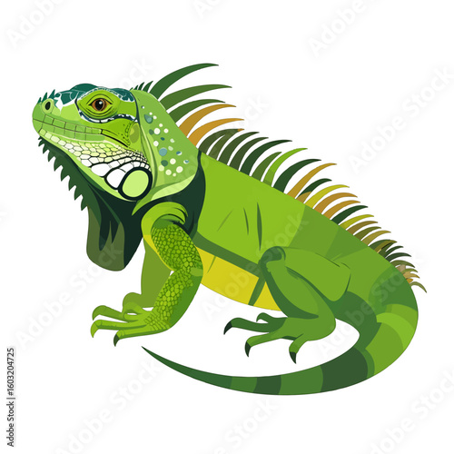 Detailed Illustration Of A Green Iguana
