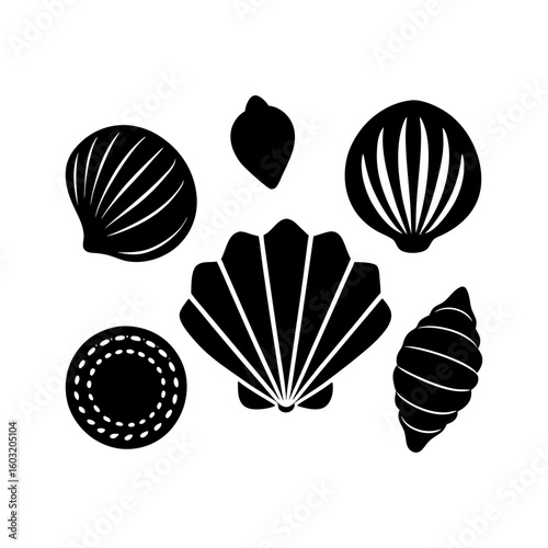set of sea shells vector black silhouettes