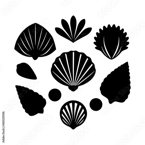 set of sea shells vector black silhouettes