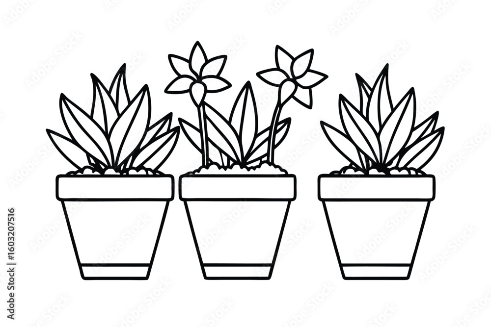 Fototapeta premium Potted Flower Garden Theme In Sketchy Vector