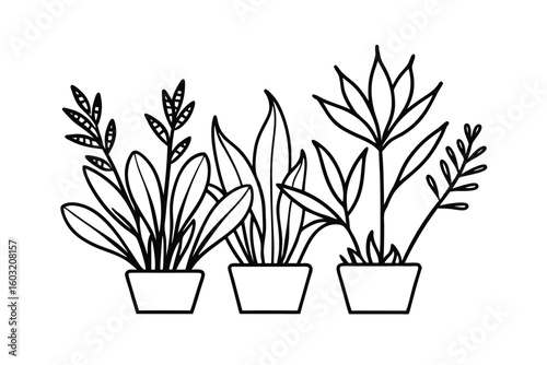 Miniature Botanical Vector Sketch With Labeled Parts