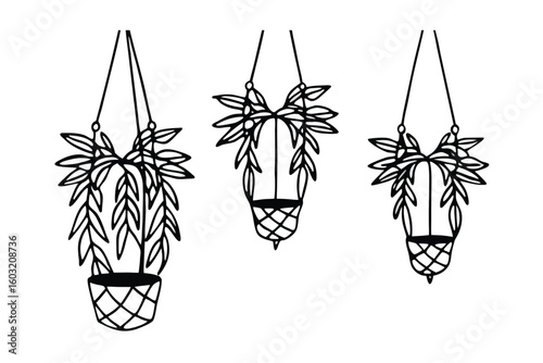 Indoor Hanging Macram Plant Holders With Trailing Vines