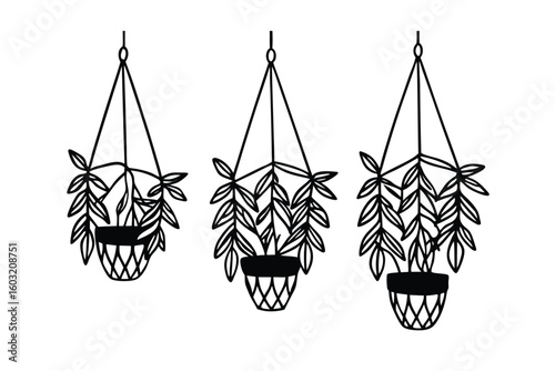 Indoor Hanging Macram Plant Holders With Trailing Vines